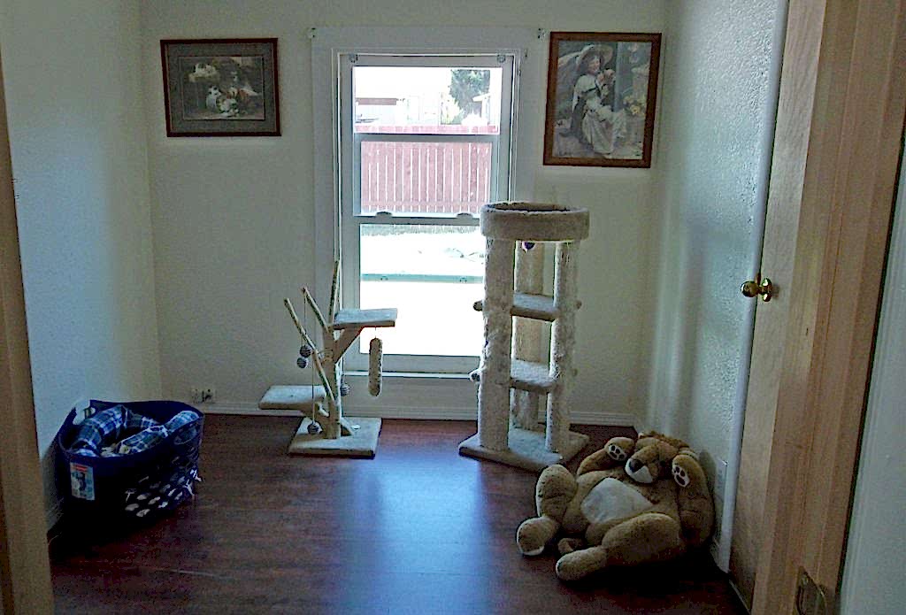 Photo of cat play room 